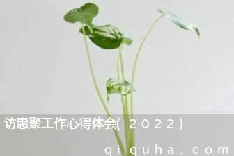 访惠聚工作心得体会(2022)